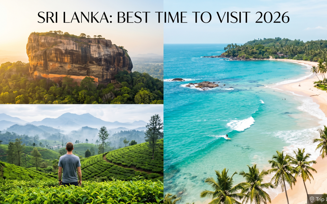 Best Time to Visit Sri Lanka: Month-by-Month Weather Guide